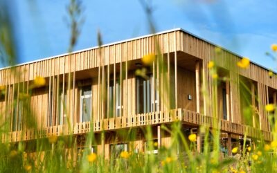 Structure en ossature bois à Poitiers: optimisez votre habitation